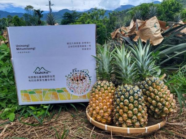 台東延平金鑽鳳梨3箱組(預購)